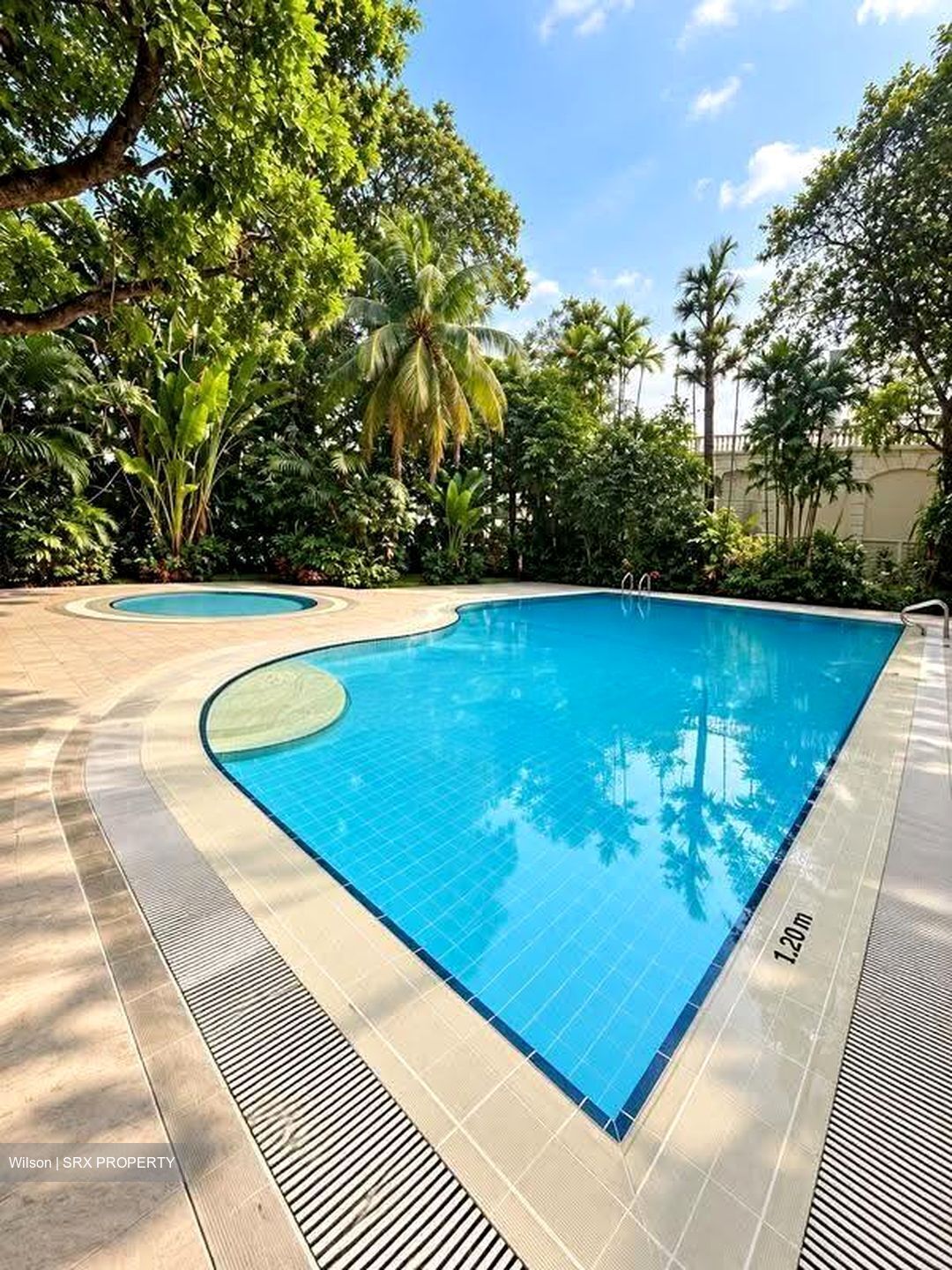 Balmoral Park (D10), Condominium #618907421